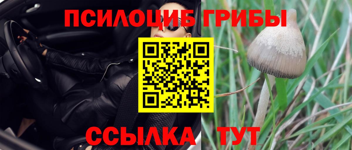 Псилоцибиновые грибы GOLDEN TEACHER Азнакаево
